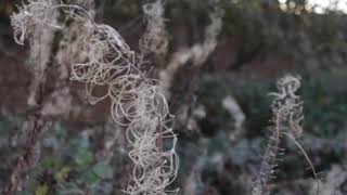 Skin And Bones (The Flow By Daniel Norgren Unofficial Video)