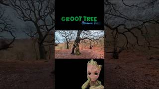 The Groot Tree - Stafford , Cannock Chase UK