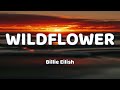 Billie Eilish WILDFLOWER Lyrics Billie Eilish WILDFLOWER Lyrics