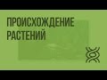 Происхождение и этапы эволюции растений. Видеоурок по биологии 6 класс