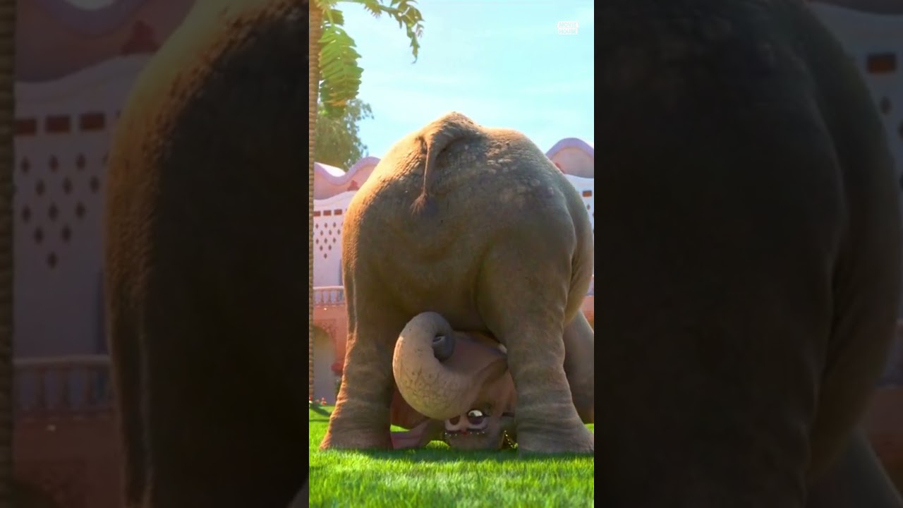 Настоящее значение Нанги Йоги в «Зверополисе»