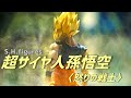 カッコ良すぎS.H.figures【超サイヤ人孫悟空】怒りの戦士