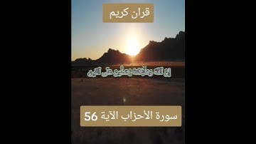 سورة الأحزاب الآية 56#قران_كريم #لايك_متابعه_ #Tiktoklongs #Foryoupage #Viral