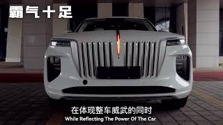 The Car Welcome Light Of #E_Hs9 #Hongqi