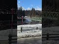 Beautiful But Cold! #travel #nature #naturelovers #travelvlog #snow