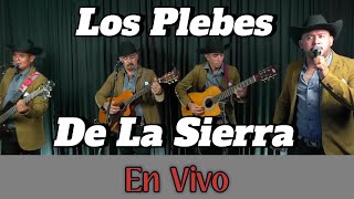 Los Plebes De La Sierra En vivo