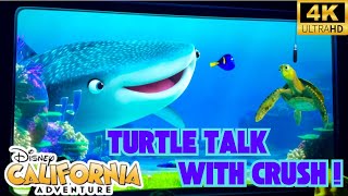 Turtle Talk With Crush Dca Animation Academy Disney California Adventure 2024 Disneyland Resort 4K