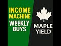 The Income Machine
