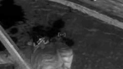 Fallout 3: The Pint Sized Slasher MA15+