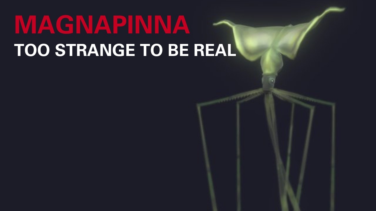 Why the Deeper You Go, the Creepier Ocean Life Becomes?