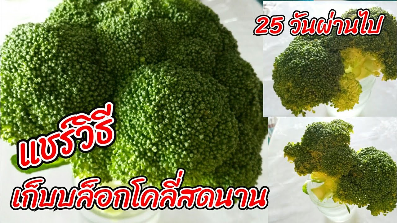 Ep.266 ชวนทำผักสามสีแช่แข็งทานเองแบบง่ายๆ ผู้ใหญ่ทานได้ เด็กๆทานดี สด กรอบ  อร่อยๆ #Frozen Vegetables - Youtube