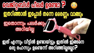 വെജിറ്റബിൾ പീലർ കൊണ്ട് ഇങ്ങനെ ഒക്കെ ചെയ്യാൻ പറ്റുമോ?ഇത്‌ പലർക്കും അറിയില്ല / Kitchen Tips Tricks 