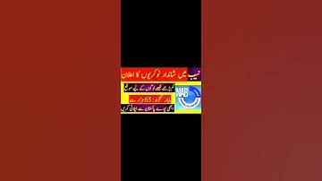 NAB Jobs October 2023 | NAB Jobs 2023 Online Apply | NAB Jobs 2023