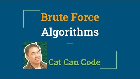 Brute Force Algorithms with Python Examples | Cat Can Code