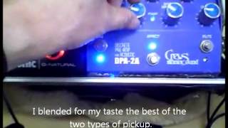 FISHMAN Matrix Infinity Pick up-Weissenborn Guitar -