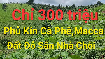 (Số 985)Chỉ 3.0.0 Triệu Sở Hữu Vườn 9 xào Đã Trồng Cà Phê Sầu Riêng Macca Sẵn Nhà Nhỏ