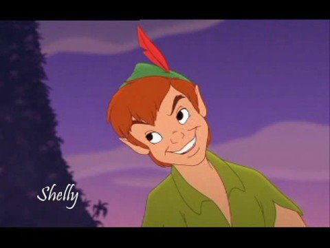 Peter Pan & Tinkerbell tribute~