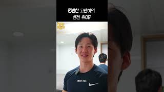 이 녀석은 조금 다릅니다...