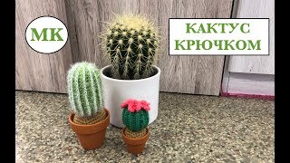 МК: 🌵 КАКТУС КРЮЧКОМ. 2 СОРТА = 1 СХЕМА. CROCHET CACTUS МК: 🌵 КАКТУС КРЮЧКОМ. 2 СОРТА = 1 СХЕМА. CROCHET CACTUS