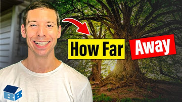 How Far Should Trees Be From Foundations?