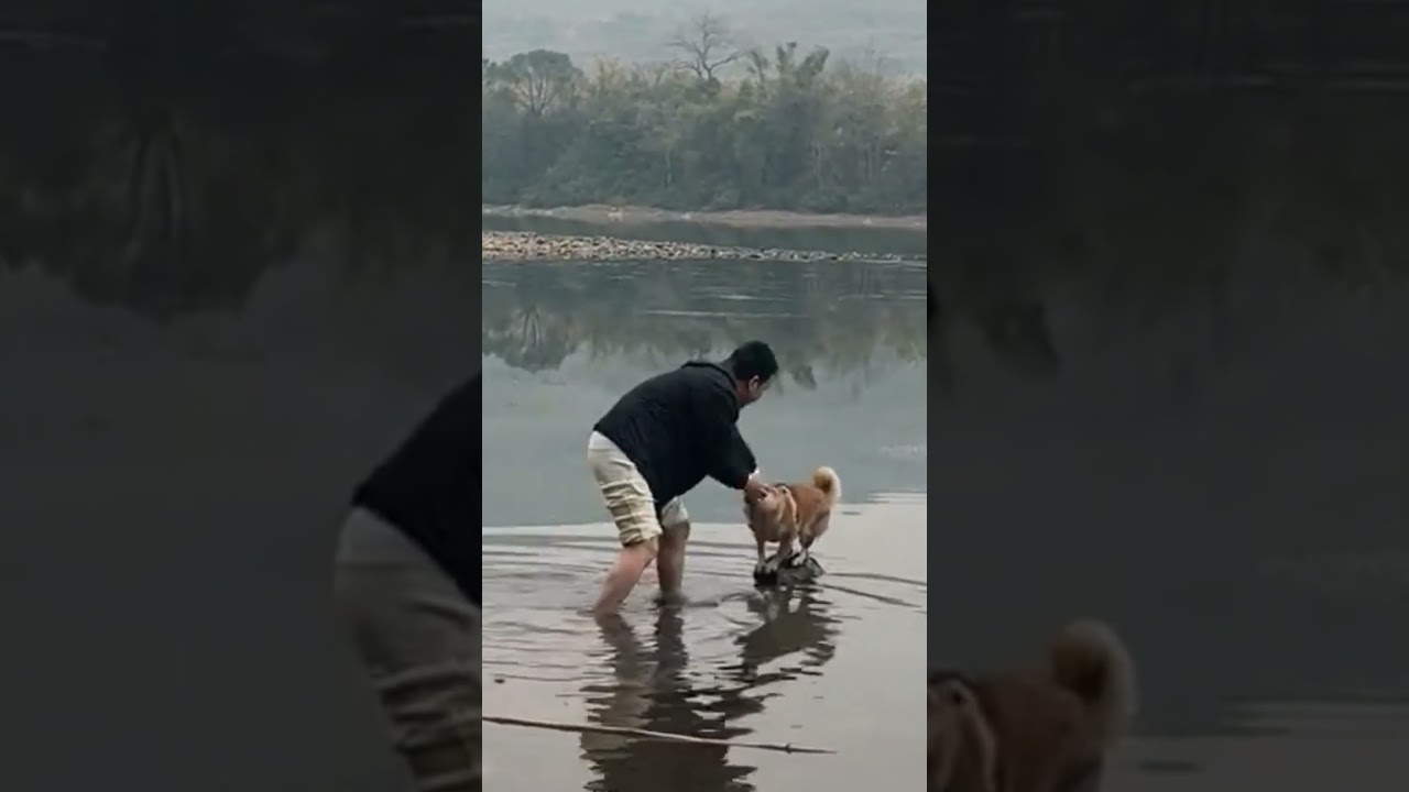 Man Jumps Into Icy River to Save Dog