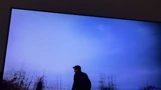 Lg 55 E7 Vertical Banding