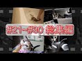 総集編21～30本目まで　#七七七 #進めーねこにゃん