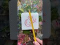 DIY free stamps