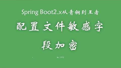 3 9 配置文件敏感字段加密 SpringBoot从青铜到王者系列 教程