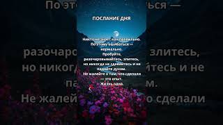 Ошибаться — нормально#цитаты#shorts