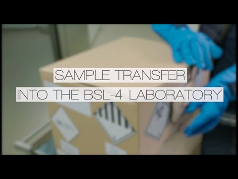 Sample transfer into the BSL-4 laboratory