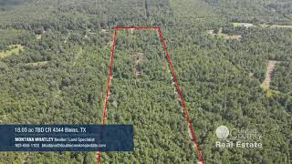 East Texas Hunting Land for sale