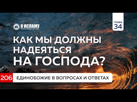 Глава 34. Вопрос 206. Как мы должны надеяться на Господа? Единобожие в вопросах и ответах