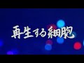 再生する細胞 今泉佑唯