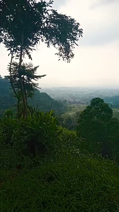 kangen kanjeng nabi Saw.hadad alwi