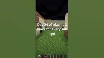 Day 34 of placing 1 block for every sub iget #minecraftgameplay #minecraft #getminecraft