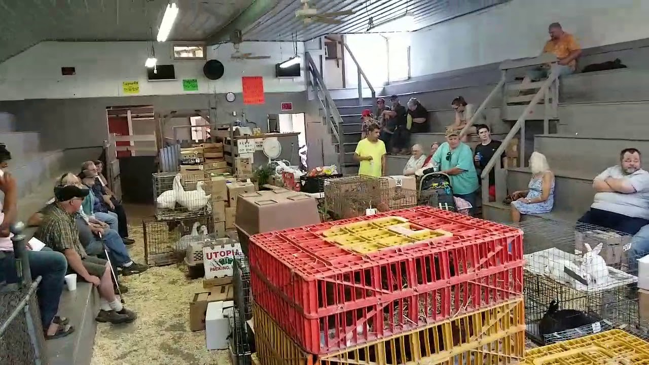 Genters farm market Springville NY YouTube