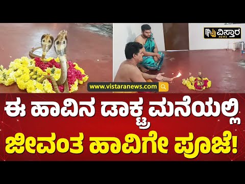 ಪೂಜೆ ಮಾಡಿದ್ದರಿಂದ ಹಾವುಗಳು ಫುಲ್‌ ಖುಷ್‌! | Real Snake During Nag Panchami Video Goes Viral