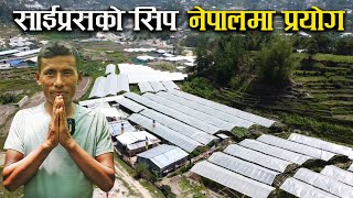 साईप्रसमा सिकेको सिप नेपालमा प्रयोग गर्दै पर्शुराम तामाङ - Vegetable farming in Nepal