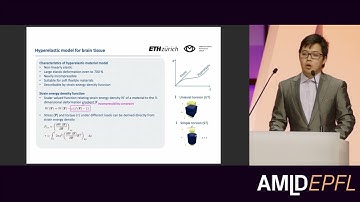 Discovering Hyperelastic Material Models through Sparse Regression – Human Brain Tissue | Huitian Yu