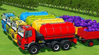 LOAD AND TRANSPORT PLUMS WITH TATRA TRUCKS AND FENDT LOADERS  Farming Simulator 22