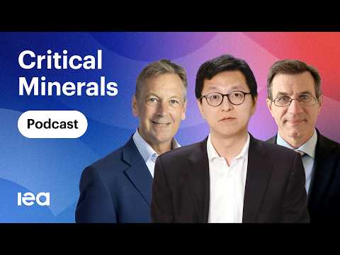 Critical Minerals and Energy Security