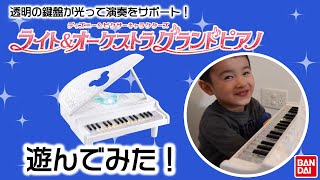 ディズニー&ピクサーキャラクターズ　ライト&オーケストラ　グランドピアノあそんでみた！