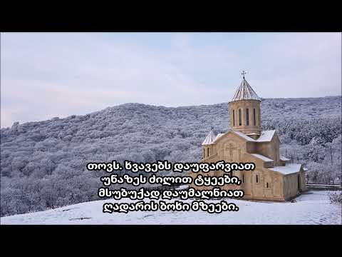 ლევან ვასაძე - განცხადებისთვე (2012 წ.)