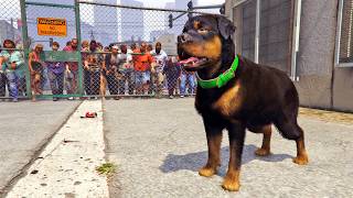قراند 5 : الكلب شوب في كارثة الزومبي الواقعية | GTA V Chop in a Zombie Outbreak