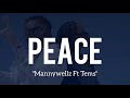 Mannywellz Ft Tems Peace Lyrics mp3