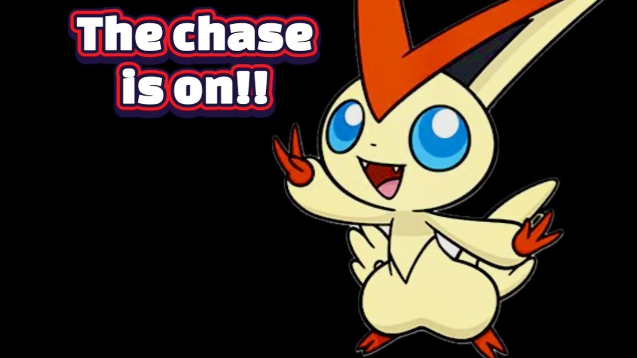 Pokémon Victini Chase is still on!  Pokémon chase cards