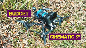Budget 5" cinematic FPV drone Wizard x220