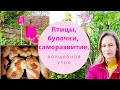 Как птицы поют в поднебесье! Влог. Чем занимаемся?