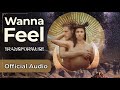 Transformuse - Wanna Feel